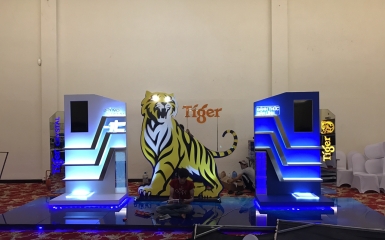 Dự án Tiger